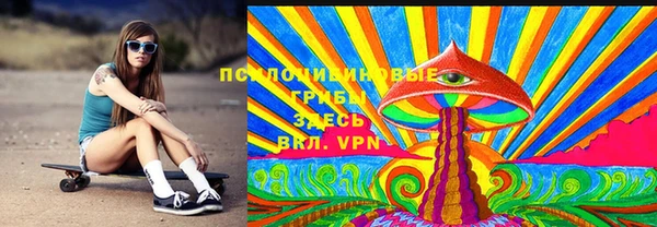 ГАЛЛЮЦИНОГЕННЫЕ ГРИБЫ Алексеевка
